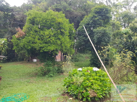Imagem Chácara com 4 Quartos à Venda, 250 m² em Contenda - São José Dos Pinhais Imagem Chácara com 4 Quartos à Venda, 250 m² em Contenda - São José Dos Pinhais