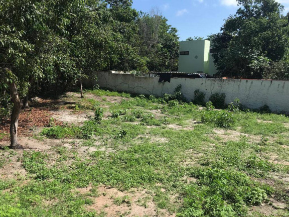 Terreno à Venda,  em Centro Da Praia De Pipa - Tibau Do Sul