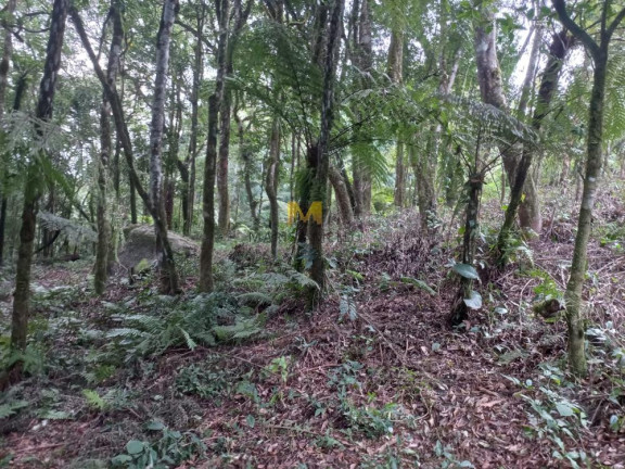 Imagem Chácara à Venda, em Recreio Da Serra - Piraquara Imagem Chácara à Venda, em Recreio Da Serra - Piraquara
