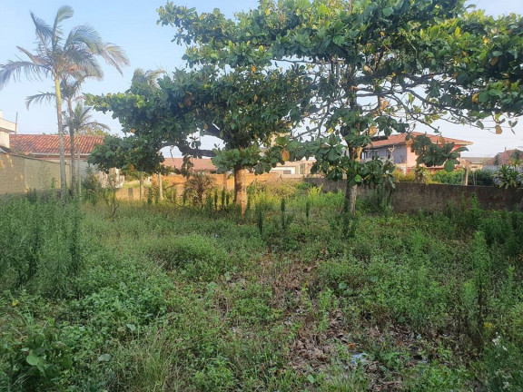 Imagem Casa com 3 Quartos à Venda, 180 m² em Salinas - Balneário Barra Do Sul Imagem Casa com 3 Quartos à Venda, 180 m² em Salinas - Balneário Barra Do Sul