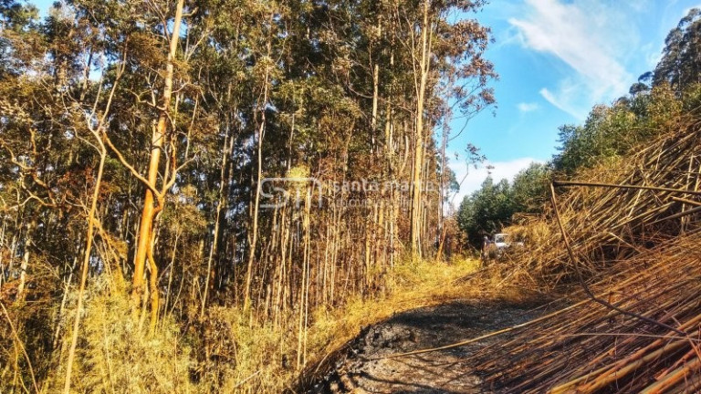 Imagem Imóvel à Venda, 1 m² em Bairro Da Tabuleta - Piquete