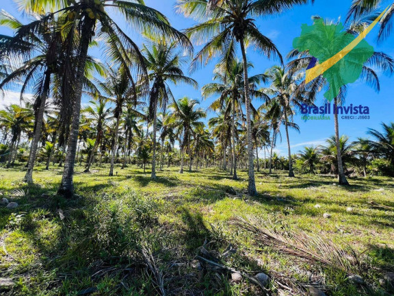 Imagem Terreno à Venda, em Guaiù - Santa Cruz Cabrália Imagem Terreno à Venda, em Guaiù - Santa Cruz Cabrália