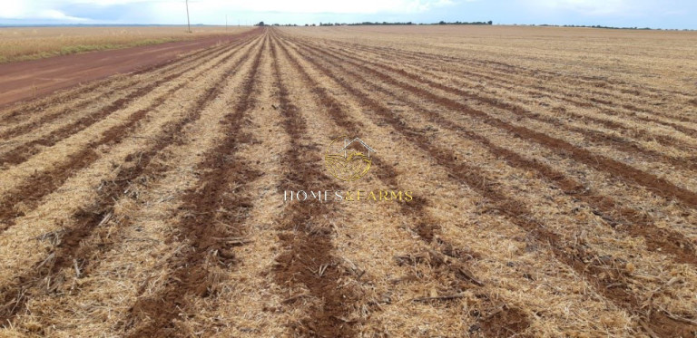 Imagem Imóvel com 3 Quartos à Venda, 17.897 m² em Zona Rural - água Boa Imagem Imóvel com 3 Quartos à Venda, 17.897 m² em Zona Rural - água Boa