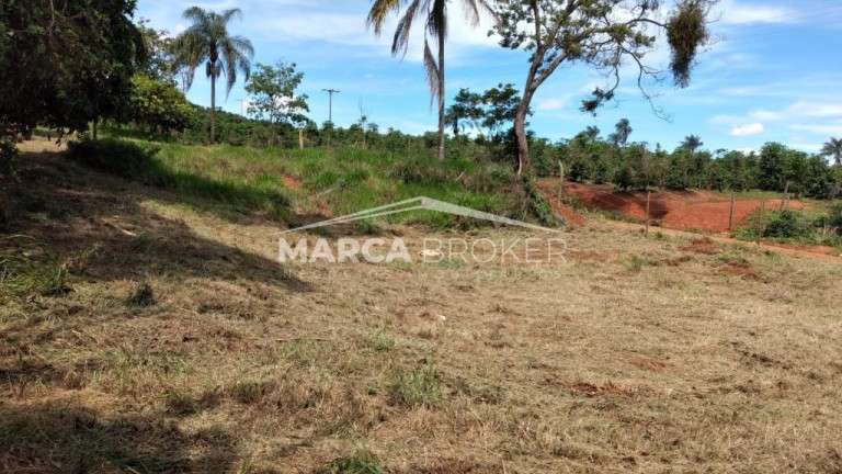 Imagem Fazenda à Venda, 35.000 m² em Floresta - Monte Santo De Minas Imagem Fazenda à Venda, 35.000 m² em Floresta - Monte Santo De Minas