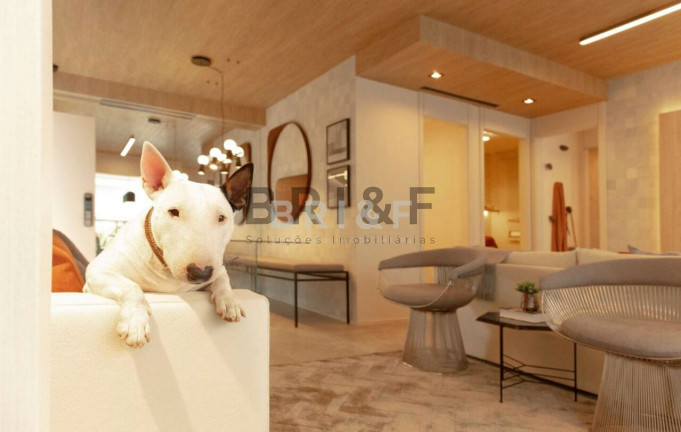 Imagem Apartamento com 3 Quartos à Venda, 77 m² em Vila Monte Alegre - São Paulo Imagem Apartamento com 3 Quartos à Venda, 77 m² em Vila Monte Alegre - São Paulo
