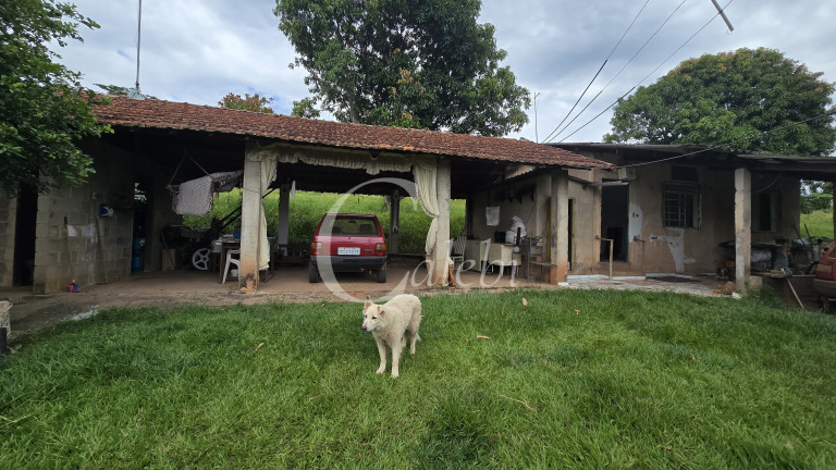 Imagem Chácara com 3 Quartos à Venda, 44.000 m² em Mato Seco - Mogi Guaçu