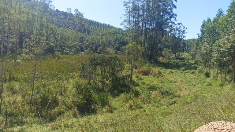 Imagem Chácara com 1 Quarto à Venda, 200 m² em Mirandão - Paraibuna Imagem Chácara com 1 Quarto à Venda, 200 m² em Mirandão - Paraibuna