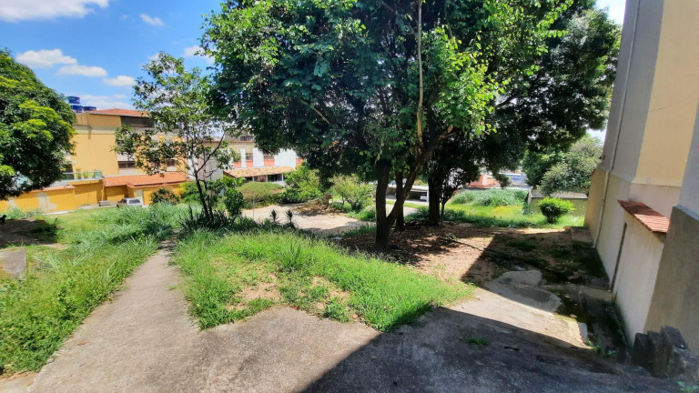 Imagem Apartamento com 3 Quartos à Venda, 62 m² em Barreiro - Belo Horizonte
