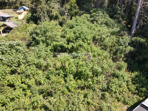 Imagem Terreno à Venda, 2.520 m² em Região Do Alto Da Boa Vista - Campos Do Jordão Imagem Terreno à Venda, 2.520 m² em Região Do Alto Da Boa Vista - Campos Do Jordão