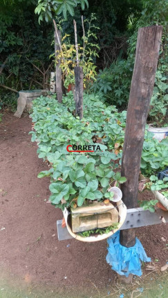 Imagem Chácara com 5 Quartos à Venda, 24 m² em City Castello - Itu Imagem Chácara com 5 Quartos à Venda, 24 m² em City Castello - Itu