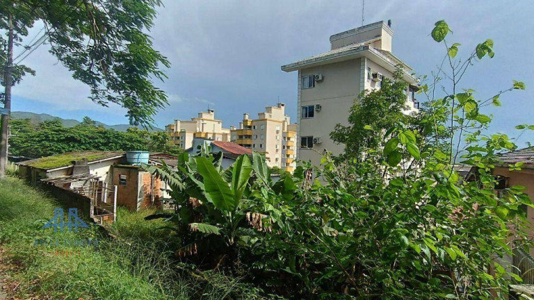 Imagem Terreno à Venda, 604 m² em Saco Grande - Florianópolis Imagem Terreno à Venda, 604 m² em Saco Grande - Florianópolis