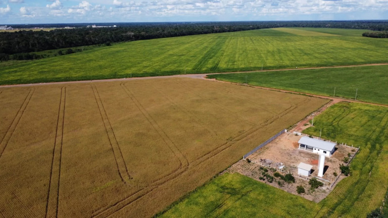 Imagem Fazenda à Venda, 1 m² em Zona Rural - Sinop Imagem Fazenda à Venda, 1 m² em Zona Rural - Sinop