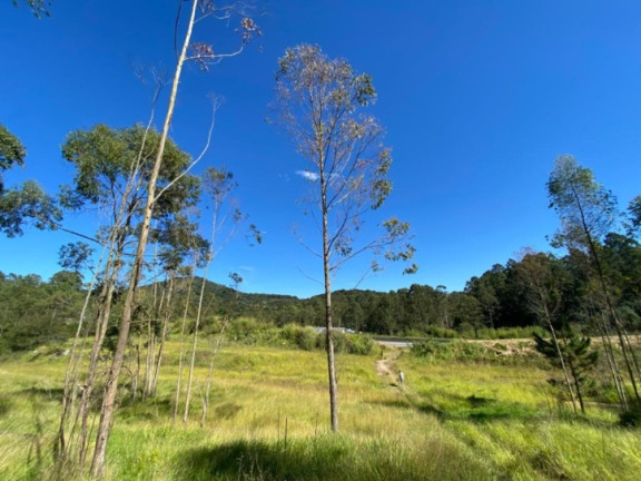 Imagem Terreno à Venda, 320.000 m² em Terra Preta (terra Preta) - Mairiporã
