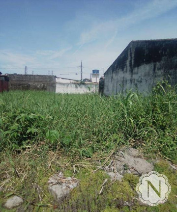 Imagem Terreno em Condomínio à Venda, 125 m² em Laranjeiras - Itanhaém Imagem Terreno em Condomínio à Venda, 125 m² em Laranjeiras - Itanhaém