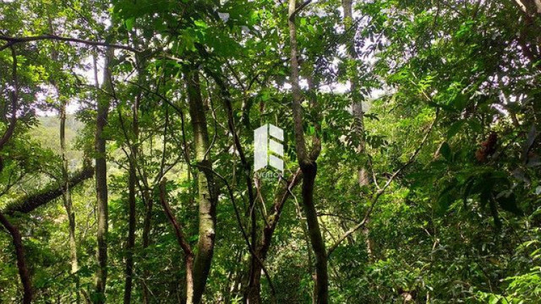 Imagem Imóvel à Venda, 28.000 m² em Campestre Do Menino Deus - Santa Maria Imagem Imóvel à Venda, 28.000 m² em Campestre Do Menino Deus - Santa Maria