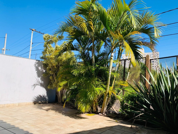 Imagem Casa de Condomínio com 3 Quartos à Venda, 180 m² em Passo Das Pedras - Porto Alegre