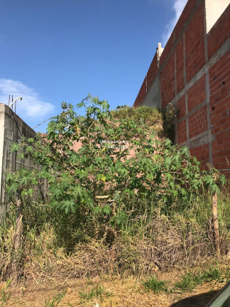 Imagem Imóvel à Venda, 300 m² em Vila Constança (botujuru) - Campo Limpo Paulista Imagem Imóvel à Venda, 300 m² em Vila Constança (botujuru) - Campo Limpo Paulista