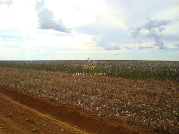 Imagem Imóvel com 3 Quartos à Venda, 17.897 m² em Zona Rural - água Boa Imagem Imóvel com 3 Quartos à Venda, 17.897 m² em Zona Rural - água Boa