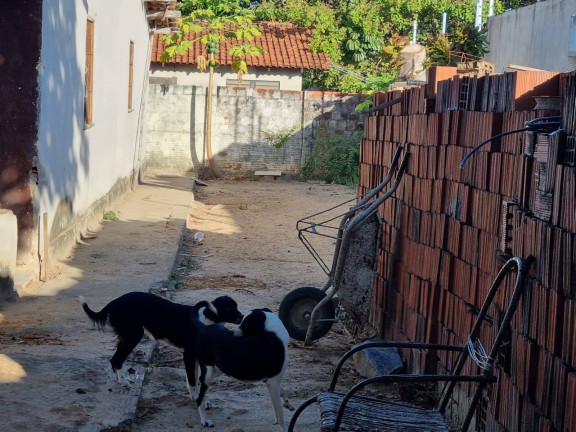 Imagem Terreno à Venda, 360 m² em Amador - Eusébio Imagem Terreno à Venda, 360 m² em Amador - Eusébio
