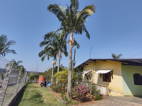 Imagem Chácara com 3 Quartos à Venda, 5.800 m² em Taiacupeba - Mogi Das Cruzes Imagem Chácara com 3 Quartos à Venda, 5.800 m² em Taiacupeba - Mogi Das Cruzes