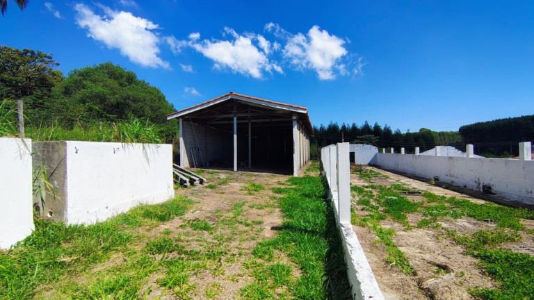 Imagem Imóvel com 7 Quartos à Venda, 3.150 m² em Jardim Paraíso Ii - Itu Imagem Imóvel com 7 Quartos à Venda, 3.150 m² em Jardim Paraíso Ii - Itu