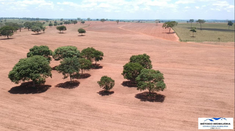 Imagem Fazenda à Venda, 252 m² em Rural - Araçatuba
