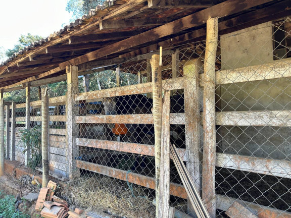 Imagem Chácara com 5 Quartos à Venda, 20 m² em Zona Rural - Mateus Leme
