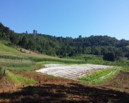 Imagem Terreno à Venda, 20 m² em Linha Brasil - Nova Petrópolis Imagem Terreno à Venda, 20 m² em Linha Brasil - Nova Petrópolis