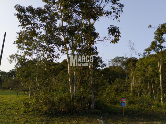 Imagem Terreno à Venda, 1 m² em Conquista - Balneário Barra Do Sul Imagem Terreno à Venda, 1 m² em Conquista - Balneário Barra Do Sul