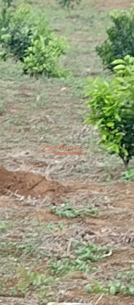 Imagem Terreno à Venda, 20 m² Imagem Terreno à Venda, 20 m²