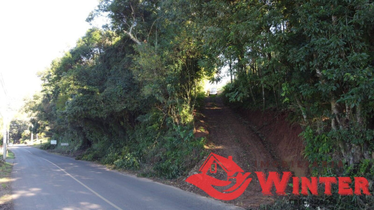 Imagem Chácara à Venda, 8.837 m² em Bom Princípio Imagem Chácara à Venda, 8.837 m² em Bom Princípio