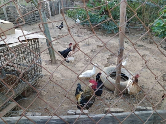 Imagem Chácara com 1 Quarto à Venda, 10 m² em Piraporão - Piedade