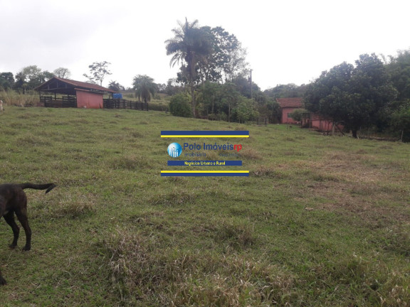Imagem Imóvel com 4 Quartos à Venda, 7 m² em Rural - São Tomás De Aquino Imagem Imóvel com 4 Quartos à Venda, 7 m² em Rural - São Tomás De Aquino
