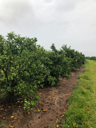 Imagem Chácara à Venda, 14 m² em Rural - águas De Santa Bárbara Imagem Chácara à Venda, 14 m² em Rural - águas De Santa Bárbara