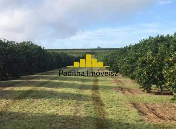 Imagem Chácara à Venda, 350 m² em Marília Imagem Chácara à Venda, 350 m² em Marília