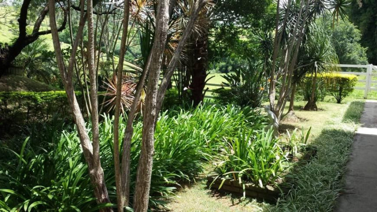 Imagem Fazenda à Venda, 174.000 m² em Bairro Dos Pintos - Itatiba Imagem Fazenda à Venda, 174.000 m² em Bairro Dos Pintos - Itatiba