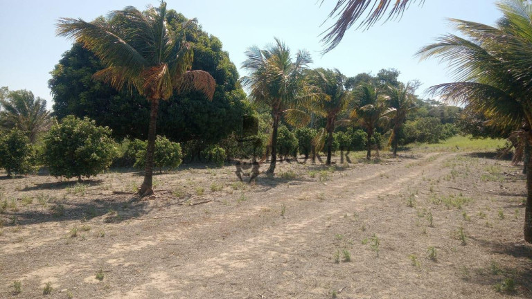 Imagem Fazenda à Venda, 555.000 m² em Sao Vicente - Araruama Imagem Fazenda à Venda, 555.000 m² em Sao Vicente - Araruama