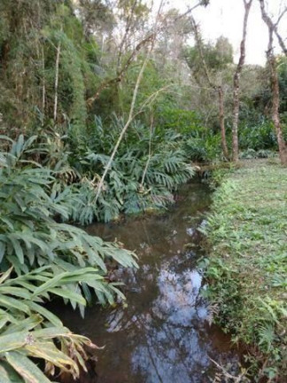 Imagem Imóvel com 7 Quartos à Venda, 280.000 m² em Mascate - Nazaré Paulista