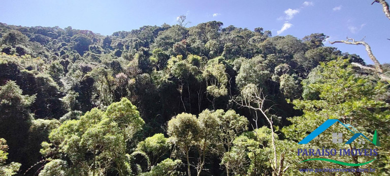 Imagem Chácara à Venda, 100 m² em Centro - Gonçalves