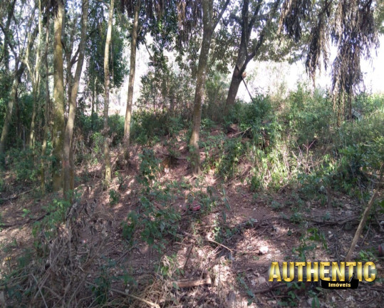 Imagem Terreno à Venda, 1.800 m² em Caxambu - Jundiaí
