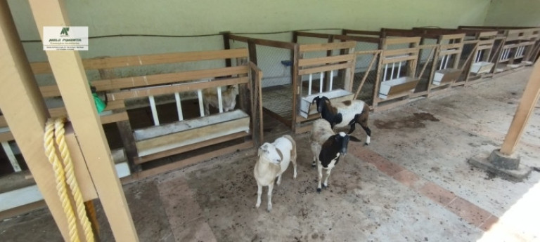 Imagem Fazenda à Venda, 5.000 m² em Alto Da Serra - São Roque