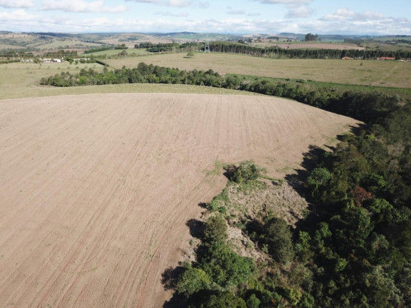 Imagem Fazenda à Venda, 38 m² em Rural - Itapetininga Imagem Fazenda à Venda, 38 m² em Rural - Itapetininga