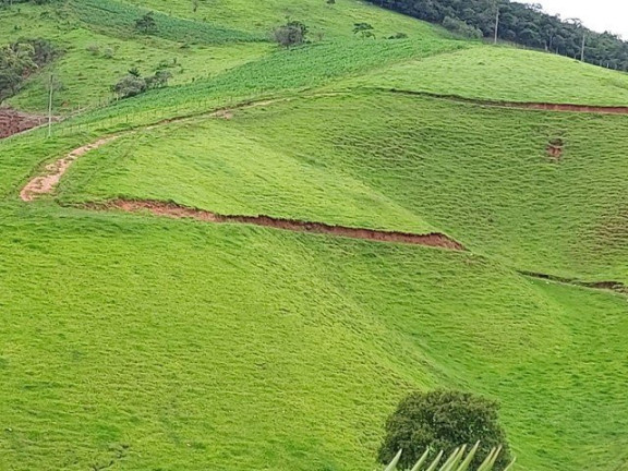 Imagem Fazenda à Venda, 1.000 m² em Campos De Cunha - Cunha Imagem Fazenda à Venda, 1.000 m² em Campos De Cunha - Cunha