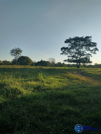 Chácara à Venda, 10 m² em Zona Rural - Novo Brasil