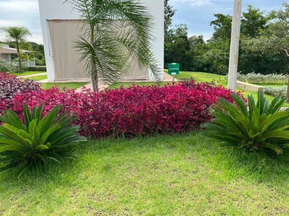 Imagem Casa de Condomínio com 3 Quartos à Venda, 230 m² em Condomínio Belvedere Ii - Cuiabá