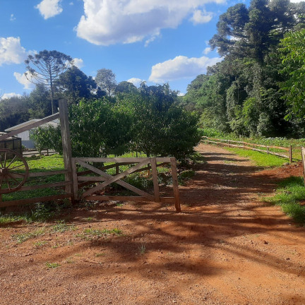 Imagem Imóvel à Venda, 50.000 m² em Centro - Lagoa Dos Três Cantos Imagem Imóvel à Venda, 50.000 m² em Centro - Lagoa Dos Três Cantos
