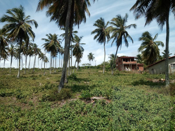 Imagem Terreno à Venda, 140 m² em São Cristóvão - Salvador Imagem Terreno à Venda, 140 m² em São Cristóvão - Salvador