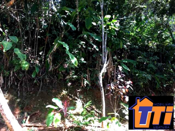 Terreno à Venda, 1.010 m² em Toninhas - Ubatuba