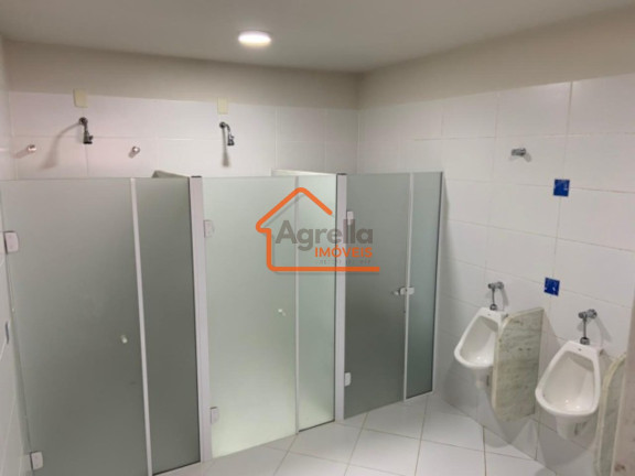 Imagem Imóvel com 3 Quartos à Venda, 800 m² em Chácara São Marcelo - Mogi Mirim Imagem Imóvel com 3 Quartos à Venda, 800 m² em Chácara São Marcelo - Mogi Mirim