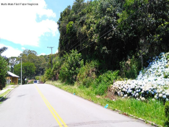 Terreno à Venda, 448 m² em Vila Olinda - Nova Petrópolis